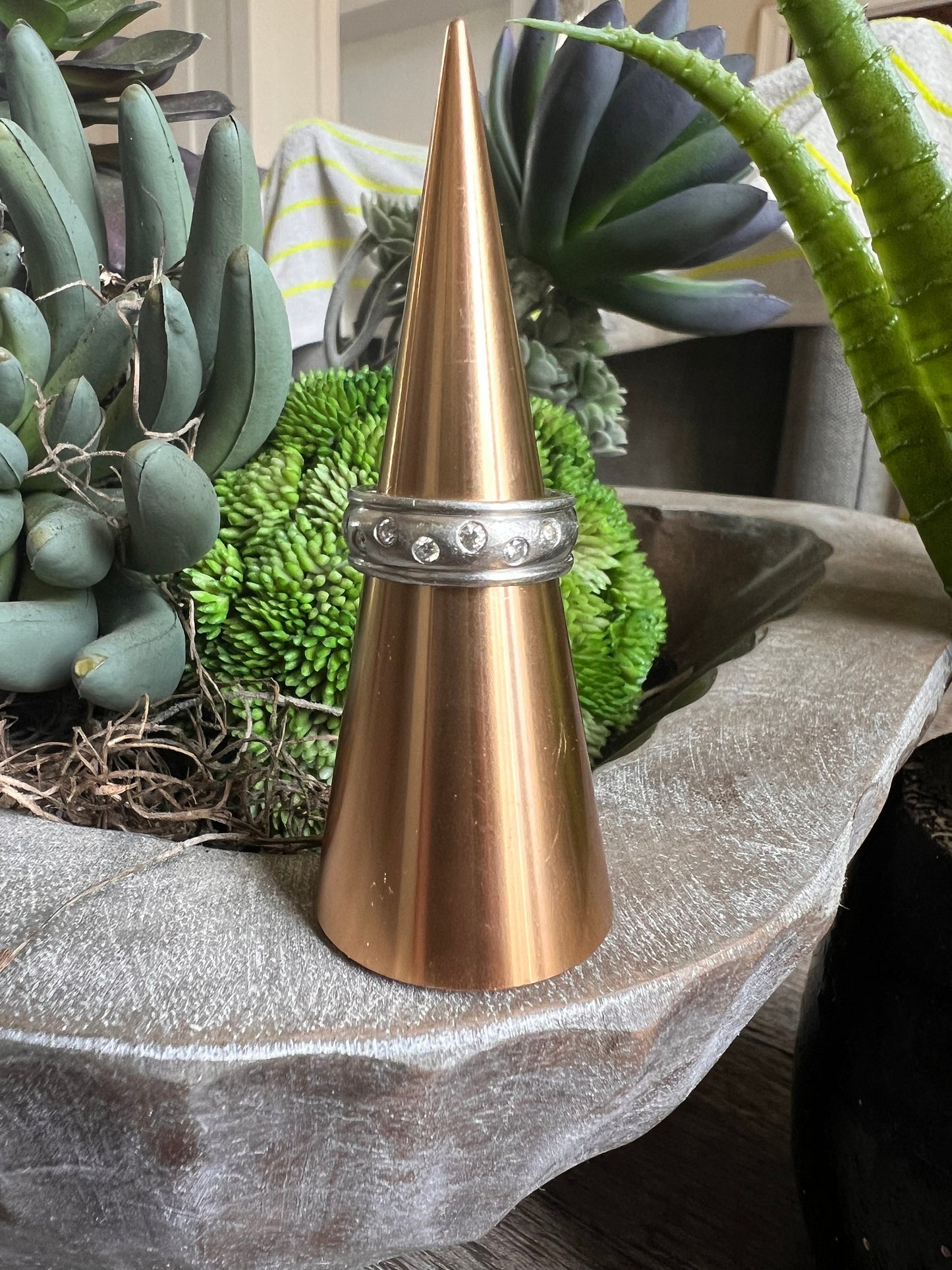 Rudolph Erdel Platinum and Diamond band