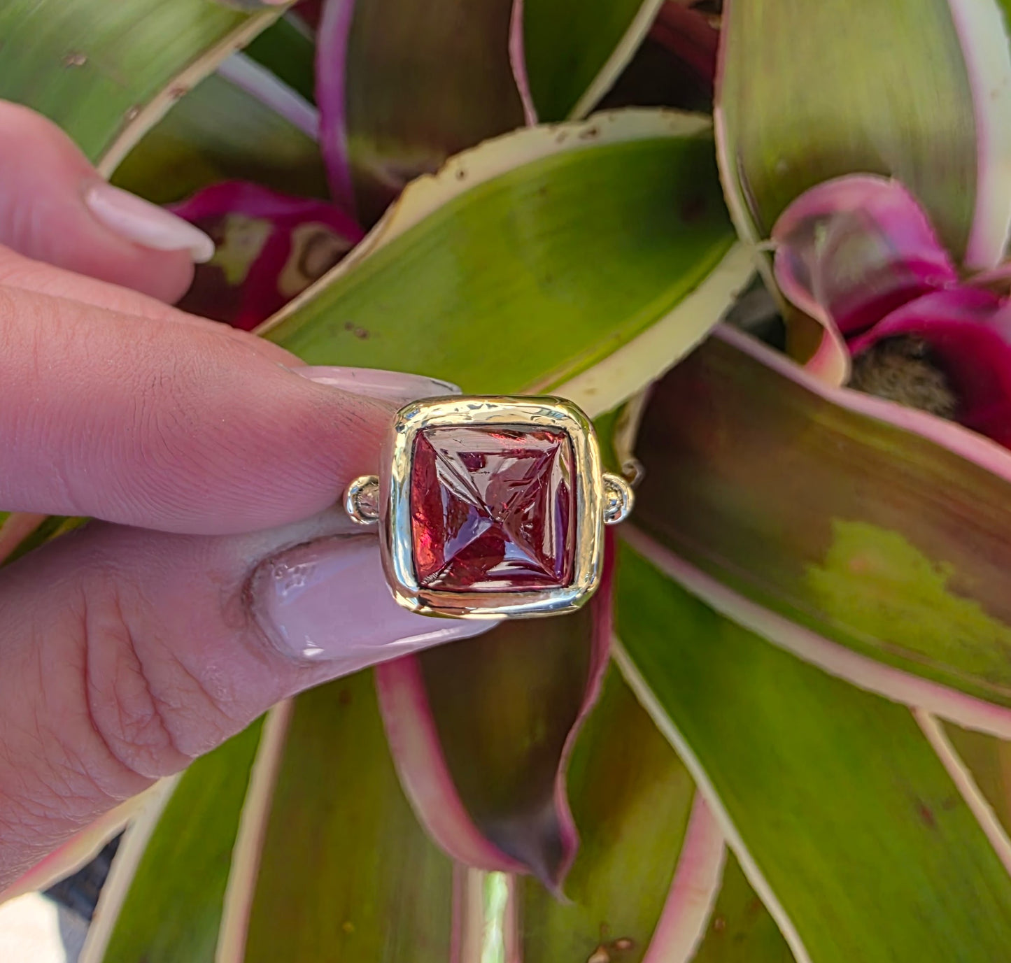 6ct Sugarloaf Rubellite Tourmaline